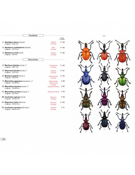 Coléoptères Phytophages d'Europe Tome 3 - Charançons