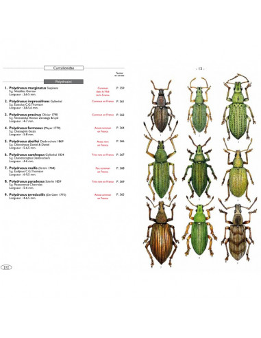Guide des coléoptères d'Europe 
