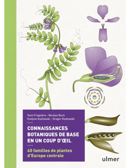 Connaissances botaniques de base en un coup d'oeil - 40 familles de plantes d'Europe centrale