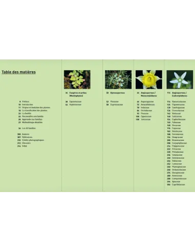 Connaissances botaniques de base en un coup d'oeil