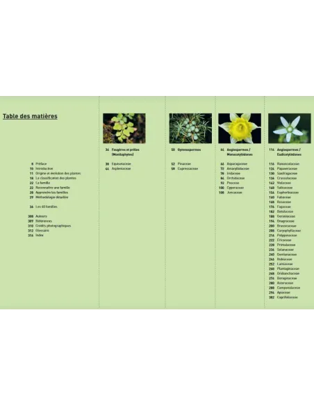 Connaissances botaniques de base en un coup d'oeil