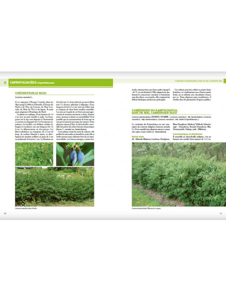 Encyclopédie des fruitiers sauvages ou méconnus