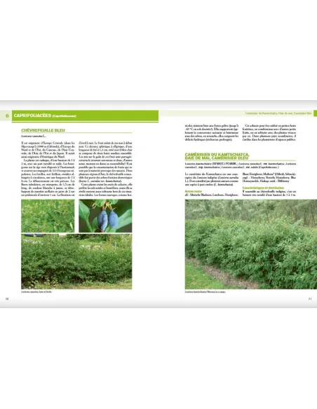 Encyclopédie des fruitiers sauvages ou méconnus