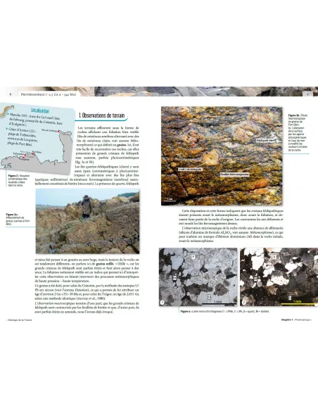 Géologie de la France (2e édition)