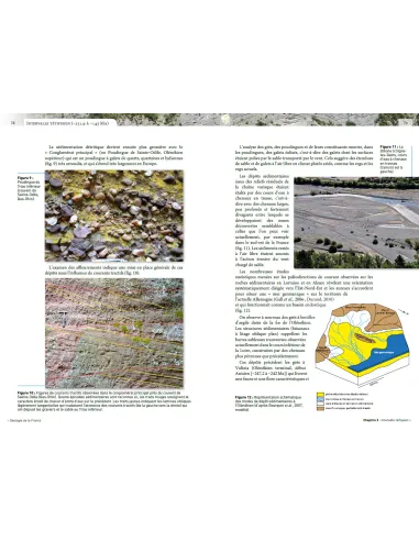 Géologie de la France (2e édition)