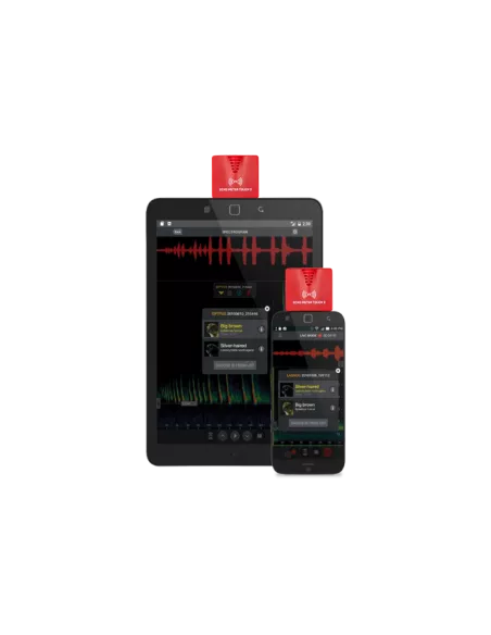Détecteur Echo Meter Touch 2 (tactile) Wildlife Acoustics USB-C - Version Android ou IOS