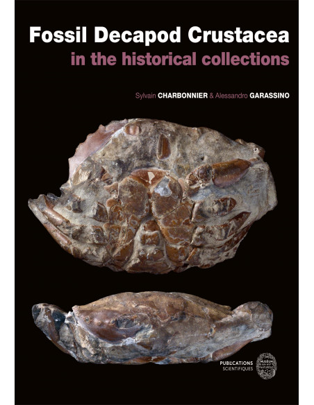 Fossil Decapod Crustacea in the historical collections