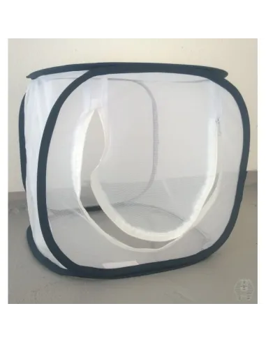 Cage pour l'observation des insectes et autres animaux - 30 x 30 x 30 cm