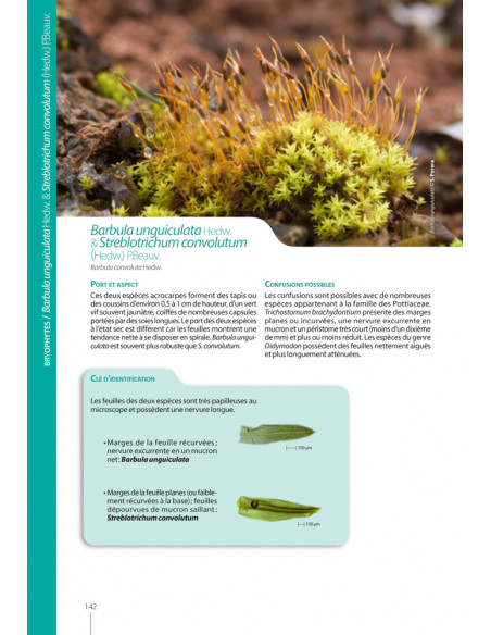 Mousses et hépatiques de France – 3e édition enrichie