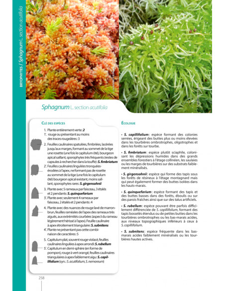 Mousses et hépatiques de France – 3e édition enrichie