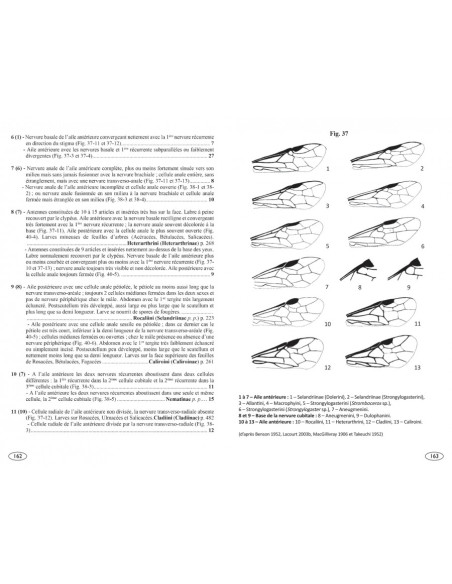 Symphytes d'Europe - Hyménoptères d'Europe 2