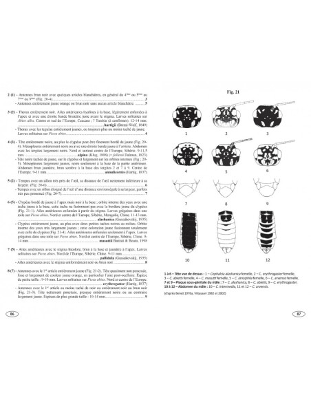 Symphytes d'Europe - Hyménoptères d'Europe 2