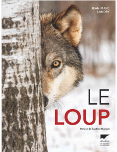 Le Loup - Delachaux et Niestlé