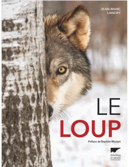 Le loup