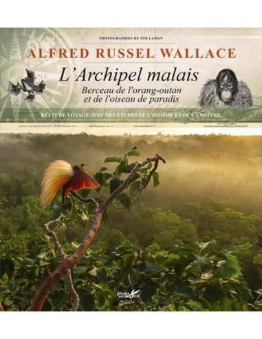 Alfred Russel Wallace, l'archipel malais - Berceau de l'orang-outan et de l'oiseau de paradis