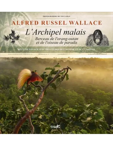 Alfred Russel Wallace, l'archipel malais - Berceau de l'orang-outan et de l'oiseau de paradis