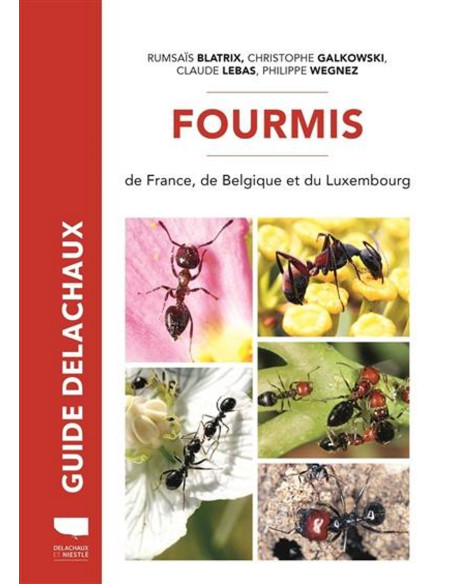Fourmis de France, de Belgique et du Luxembourg