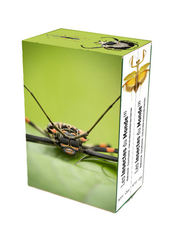 Les insectes du monde - Coffret en 2 volumes
