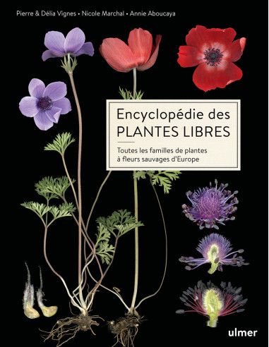 Encyclopédie des plantes libres - Toutes les familles de plantes à fleurs sauvages d'Europe