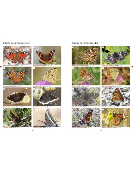 Guide photographique des papillons de jour et zygènes de France