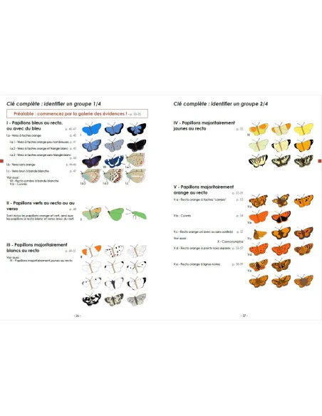 Guide photographique des papillons de jour et zygènes de France
