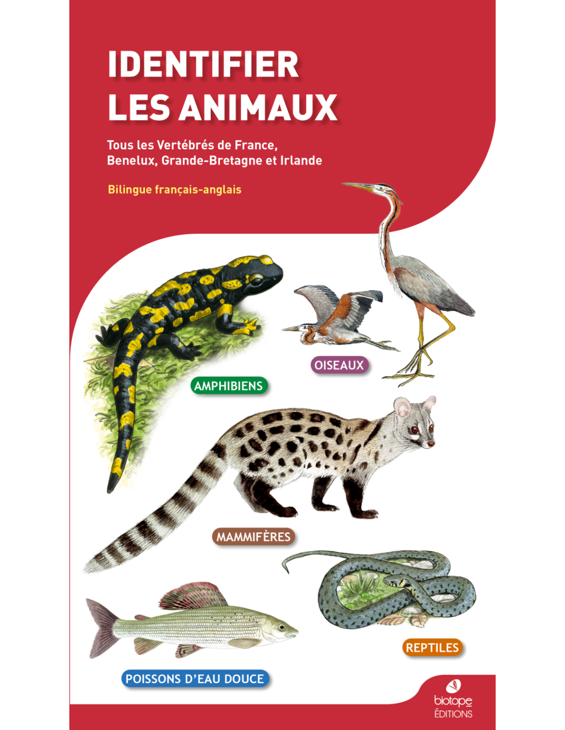 Les animaux des forêts françaises – Mille Lieux Nature