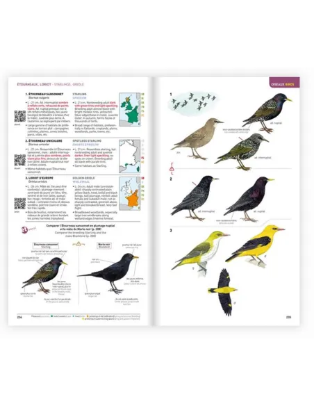 Identifier les animaux - Tous les vertébrés de France, Benelux, Grande-Bretagne et Irlande