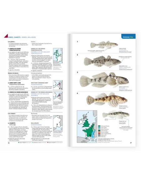 Identifier les animaux - Tous les vertébrés de France, Benelux, Grande-Bretagne et Irlande