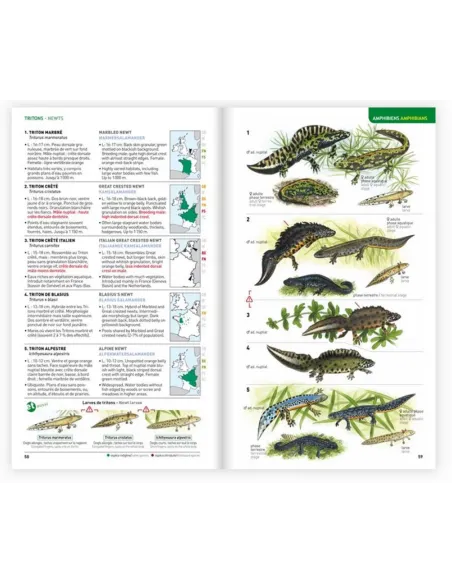 Identifier les animaux - Tous les vertébrés de France, Benelux, Grande-Bretagne et Irlande