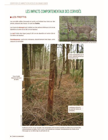 Impacts du grand gibier - Comment les identifier,  les quantifier, les limiter - 2ème édition
