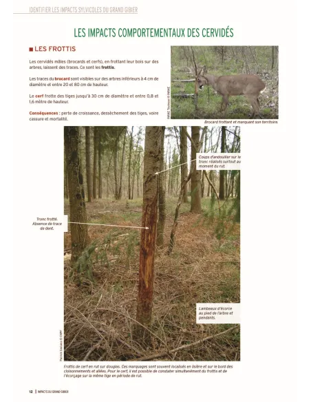Impacts du grand gibier - Comment les identifier,  les quantifier, les limiter