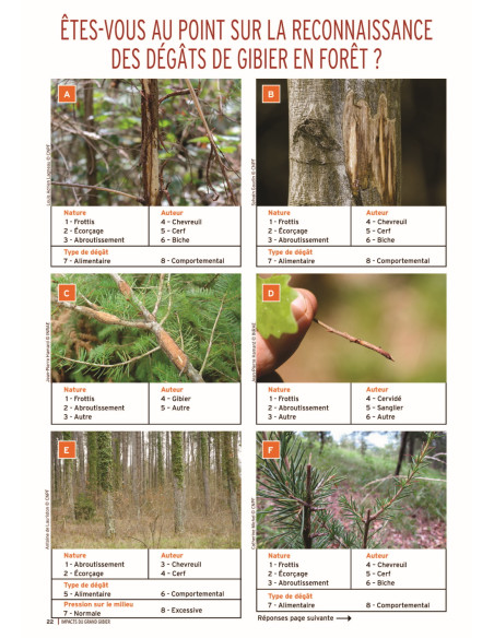 Impacts du grand gibier - Comment les identifier,  les quantifier, les limiter - 2ème édition