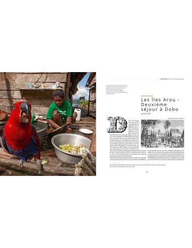 Alfred Russel Wallace, l'archipel malais - Berceau de l'orang-outan et de l'oiseau de paradis