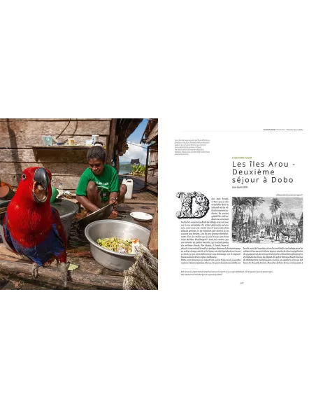 Alfred Russel Wallace, l'archipel malais - Berceau de l'orang-outan et de l'oiseau de paradis