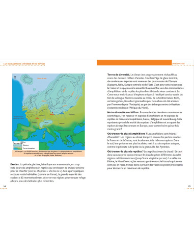 Le petit guide herpéto