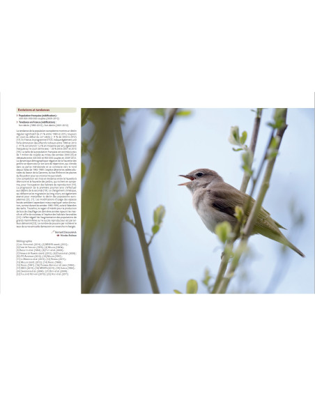 Atlas des oiseaux de France métropolitaine - Nidification et présence hivernale