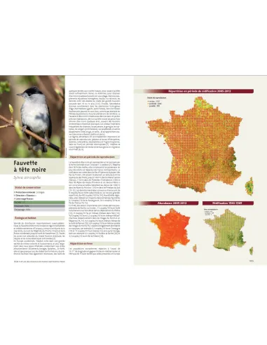 Atlas des oiseaux de France...