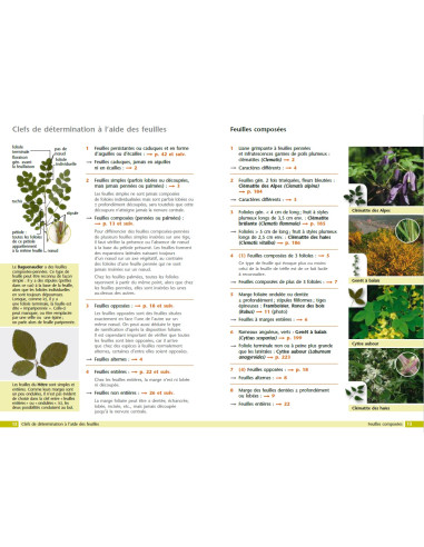 Catalogue des plantes, arbres, arbrisseaux et arbustes dont on trouve des  graines, des bulbes et du plant chez les sieurs Andrieux et Vilmorin