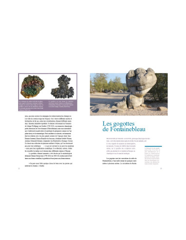 Histoires secrètes de cailloux