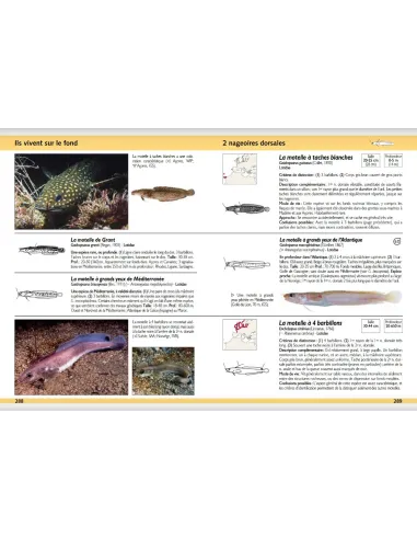 Guide d'identification des poissons marins - Europe et Méditerranée