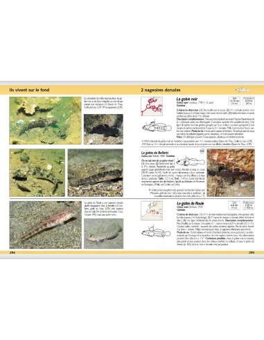 Guide d'identification des poissons marins - Europe et Méditerranée