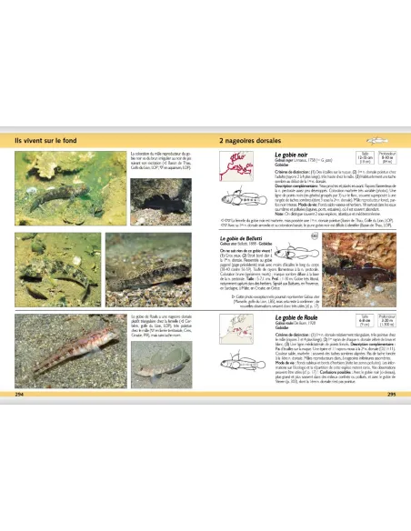 Guide d'identification des poissons marins - Europe et Méditerranée