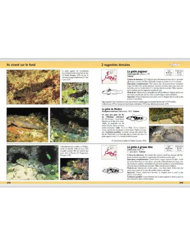 Guide d'identification des poissons marins - Europe et Méditerranée