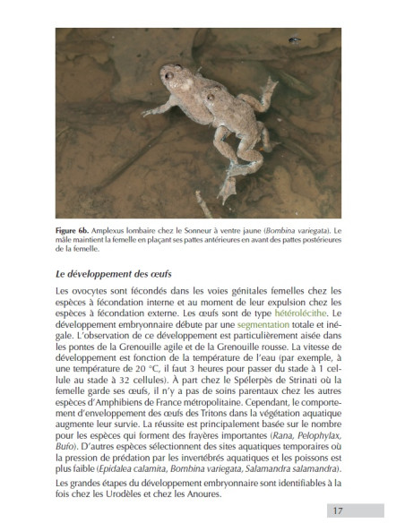 Les amphibiens de France - Guide d'identification des oeufs et des larves