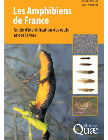 Les amphibiens de France - Guide d'identification des oeufs et des larves