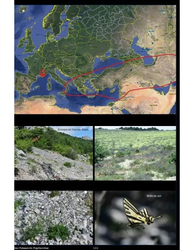 Les Papilionidae Ouest Palaéarctiques - 27 espèces dans la nature