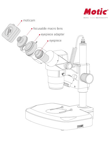Piles AA rechargeables (3) / Accessoires pour loupes binoculaires