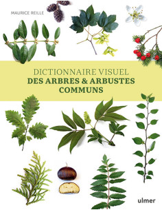 Dictionnaire visuel des arbres et arbustes communs -...