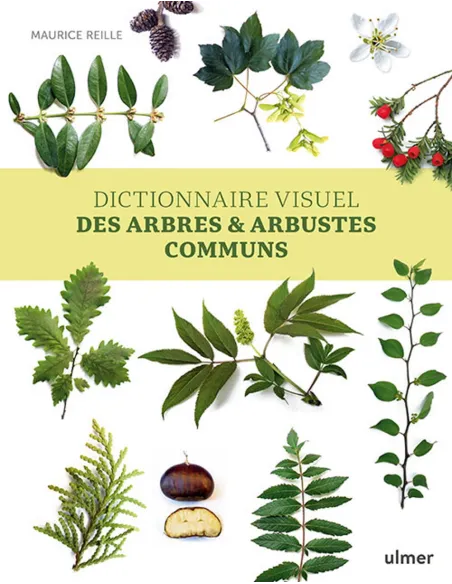 Dictionnaire visuel des arbres et arbustes communs - Nouvelle édition