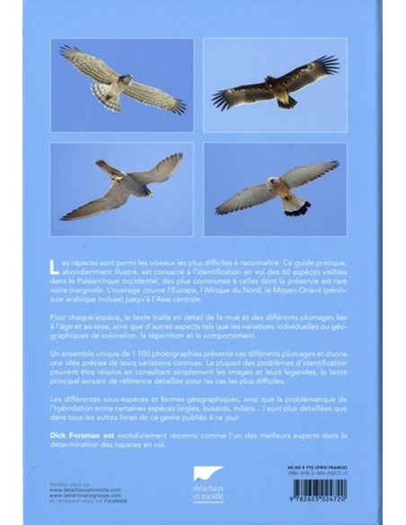 Identifier les rapaces en vol - Europe, Afrique du Nord et Moyen-Orient